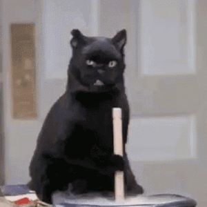 Meet your Posher, Miranda